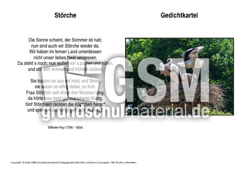 Störche-Hey.pdf